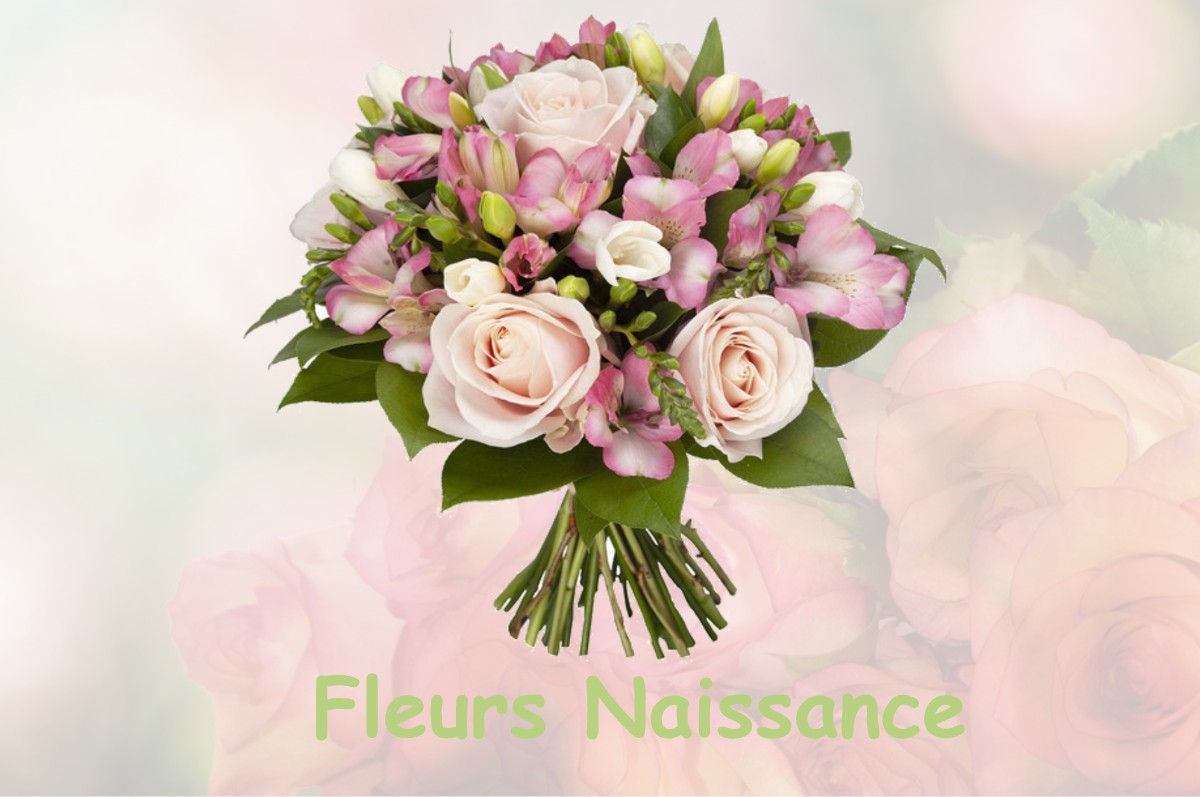 fleurs naissance BROUSSE-LE-CHATEAU