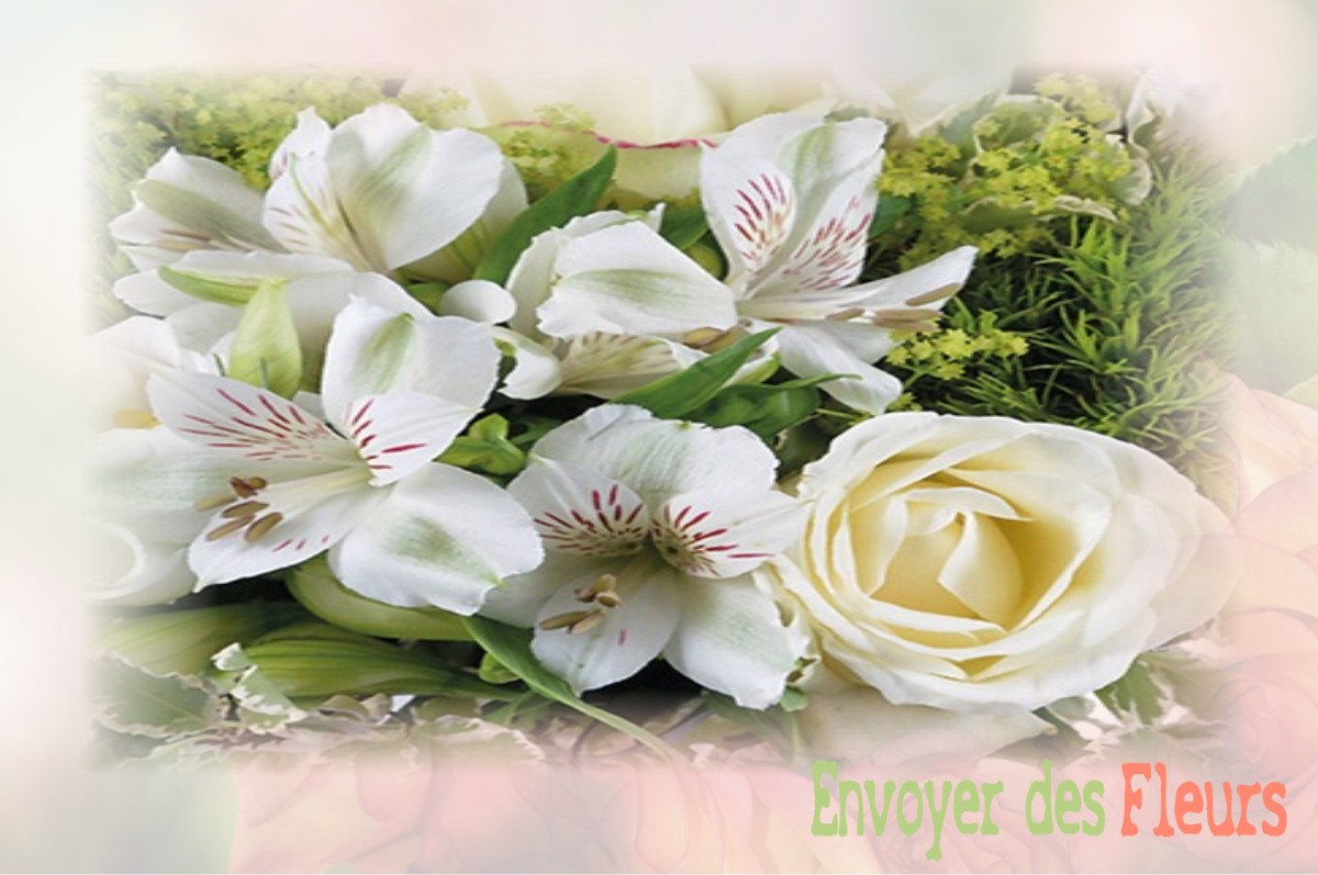 envoyer des fleurs à à BROUSSE-LE-CHATEAU